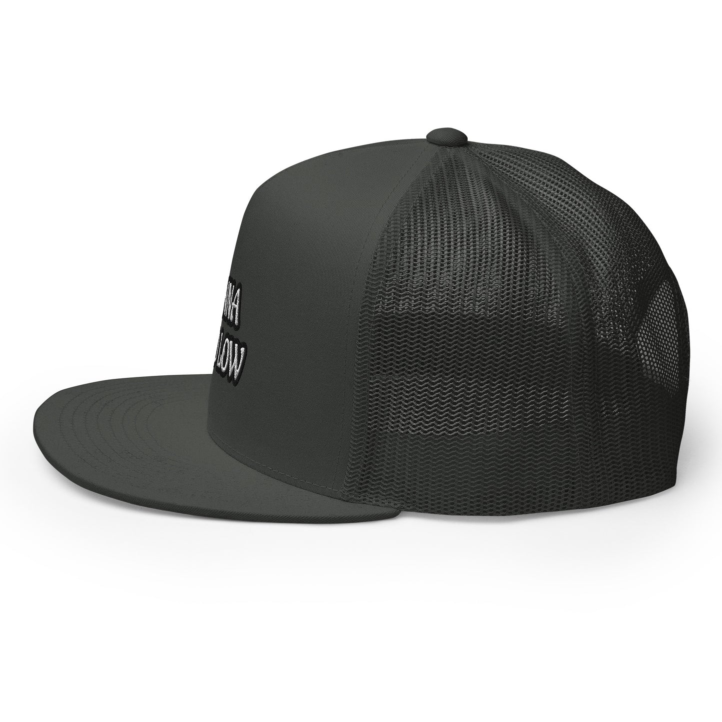 Finna Go Low Golf Hat
